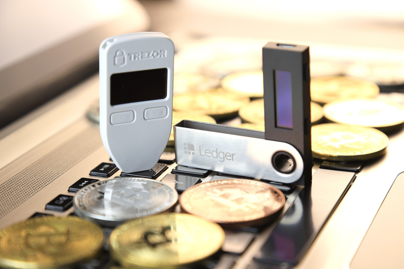 Professional Hardware Wallet Management and Custom Private Key Protection Services in France